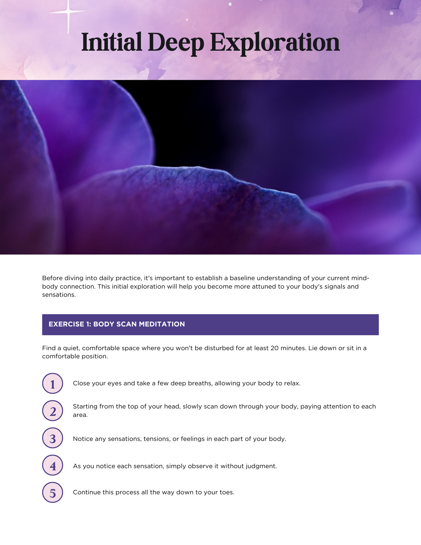 Somatic Nervous System Reset System for Conscious Creators