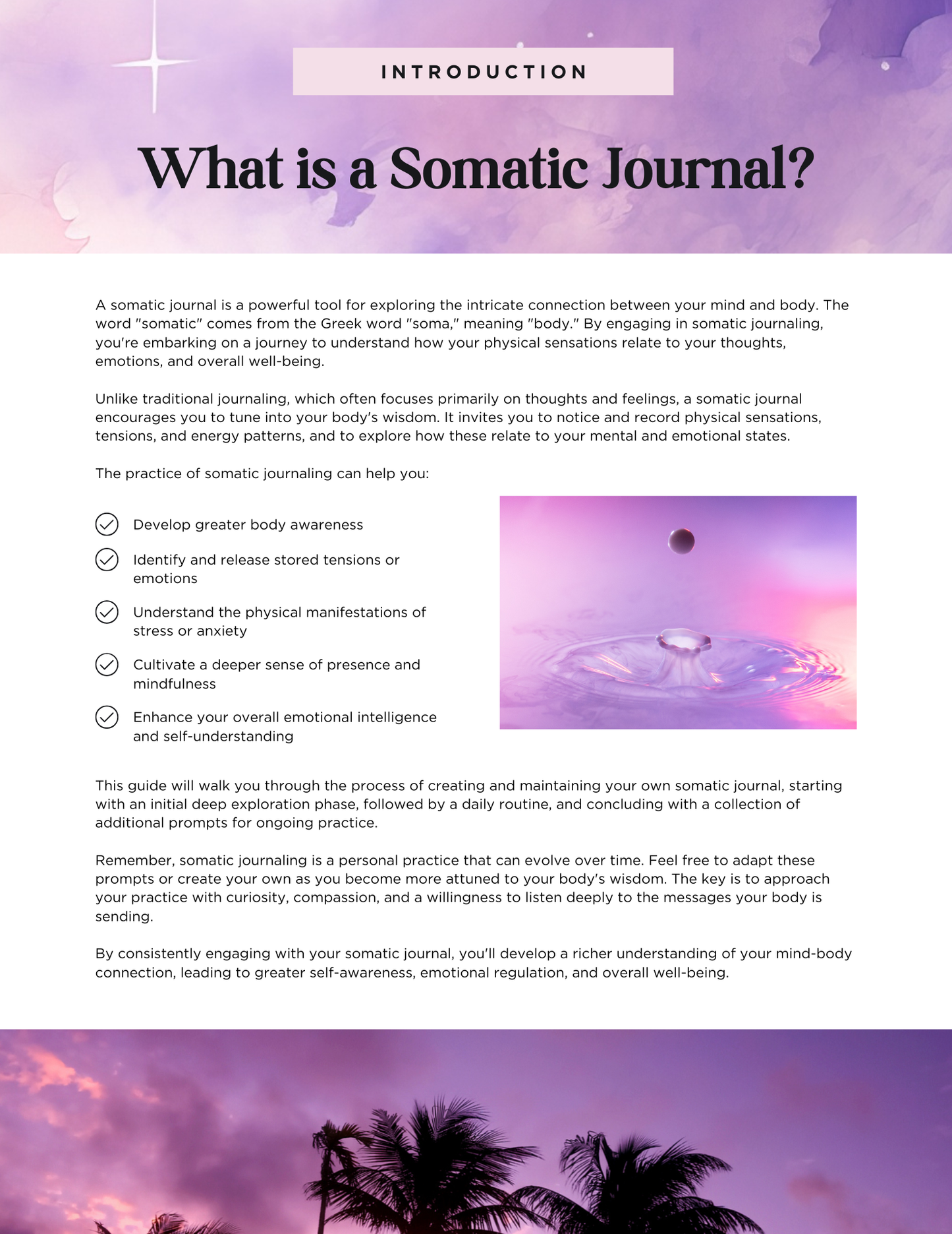 Somatic Nervous System Reset System for Conscious Creators